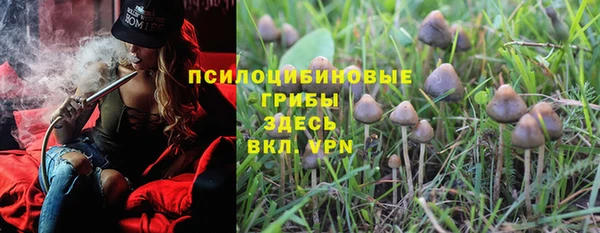марки nbome Новозыбков