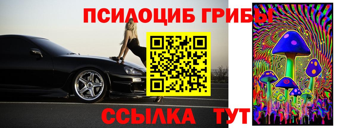 Клинцы  Галлюциногенные грибы GOLDEN TEACHER  Галлюциногенные грибы Psilocybe  Вход с VPN 